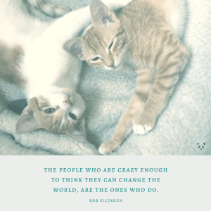 ChangeTheWorld_insta